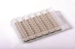 AceaFig2 AceaFig2