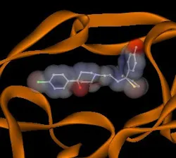 MolecularImageHIVtherapy MolecularImageHIVtherapy