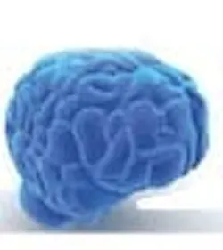 1660601273690 Brain Thumb 1660601273690 Brain Thumb