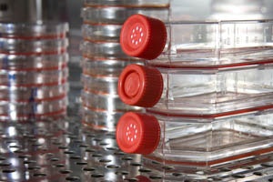 1663366537699 Spinnovation Main