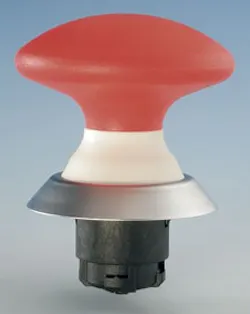 1663367302347 Singular Seriesn 1663367302347 Singular Seriesn