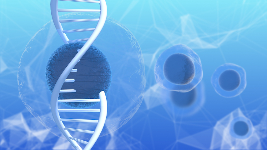 Shutterstock 1022645353