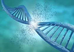 Pm Article Option 4 64888a94ed725 Pm Article Option 4 64888a94ed725