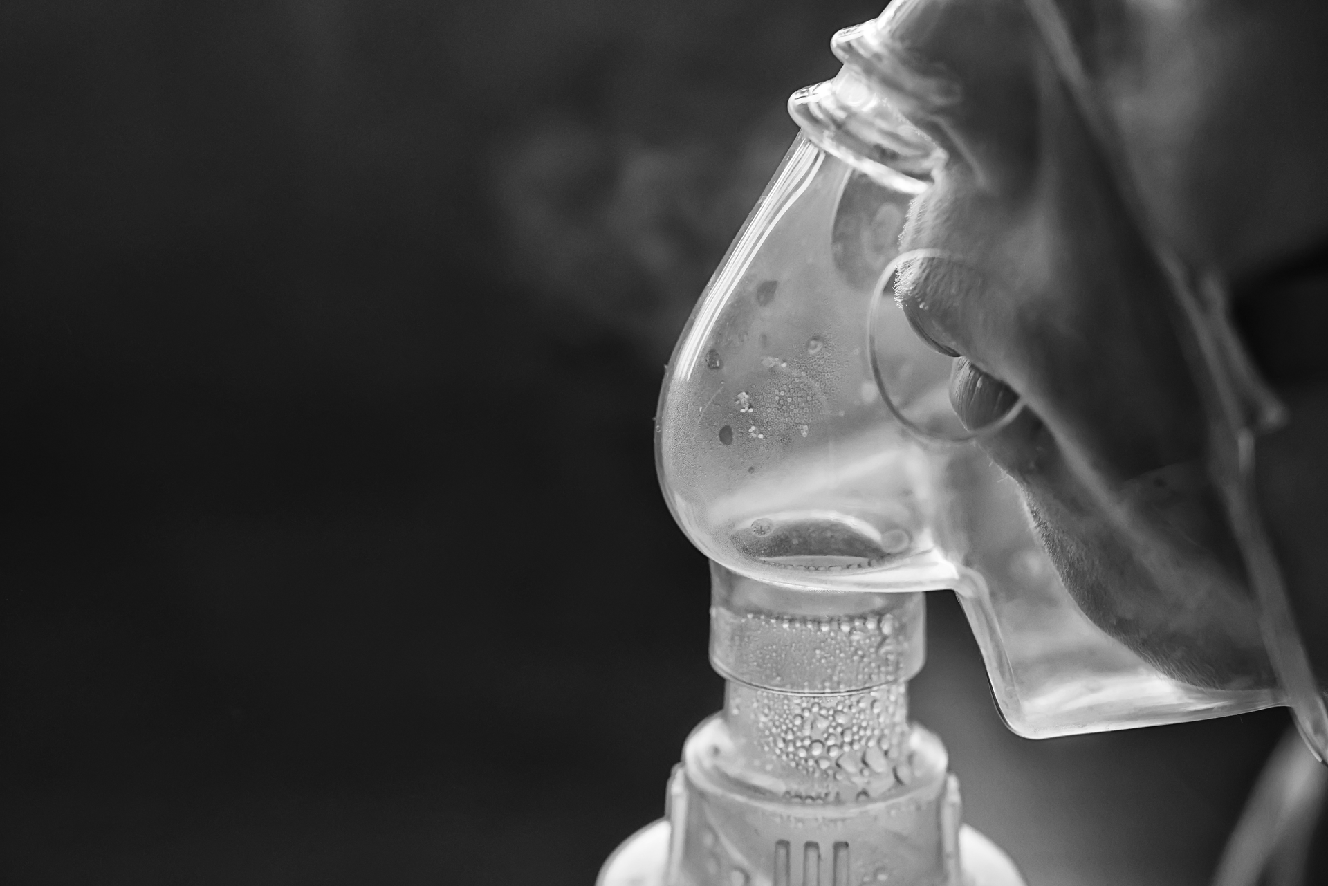 Shutterstock 2362748815