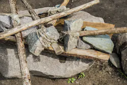 655b714de9ed0a001e382481 Shutterstock 536611126 655b714de9ed0a001e382481 Shutterstock 536611126