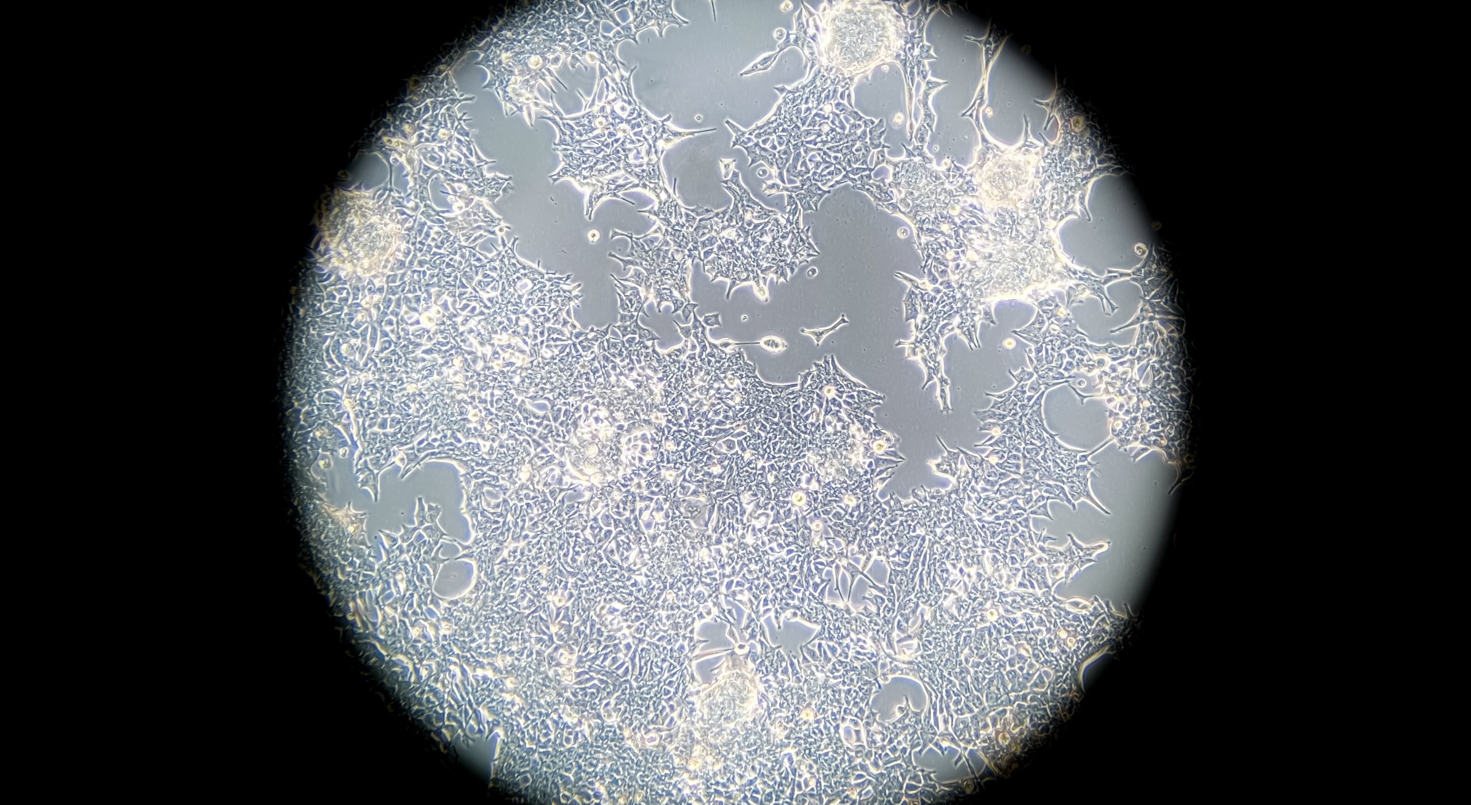 655d2c215e1f56001e166437 Shutterstock 2188259699