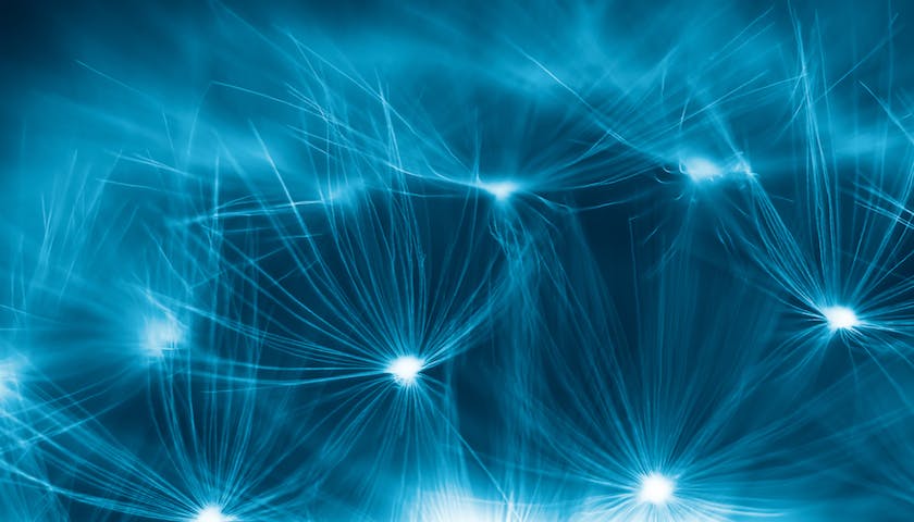 670e86e876a7d9f5173ef924 Shutterstock 214589524