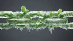 6756e97810feae8a4394d0f3 Pm2411 Hero854x480 Supply 6756e97810feae8a4394d0f3 Pm2411 Hero854x480 Supply