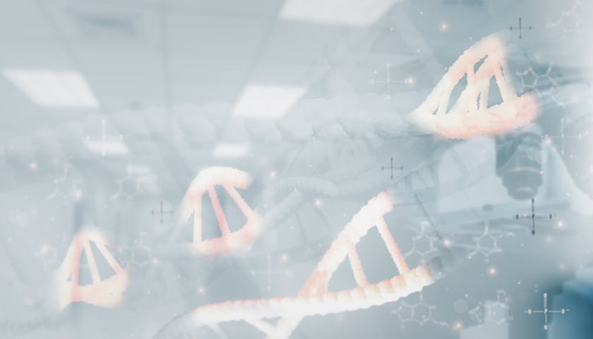 67ffd43f96b80b2da5056935 Screen Shot 20250416 At 11