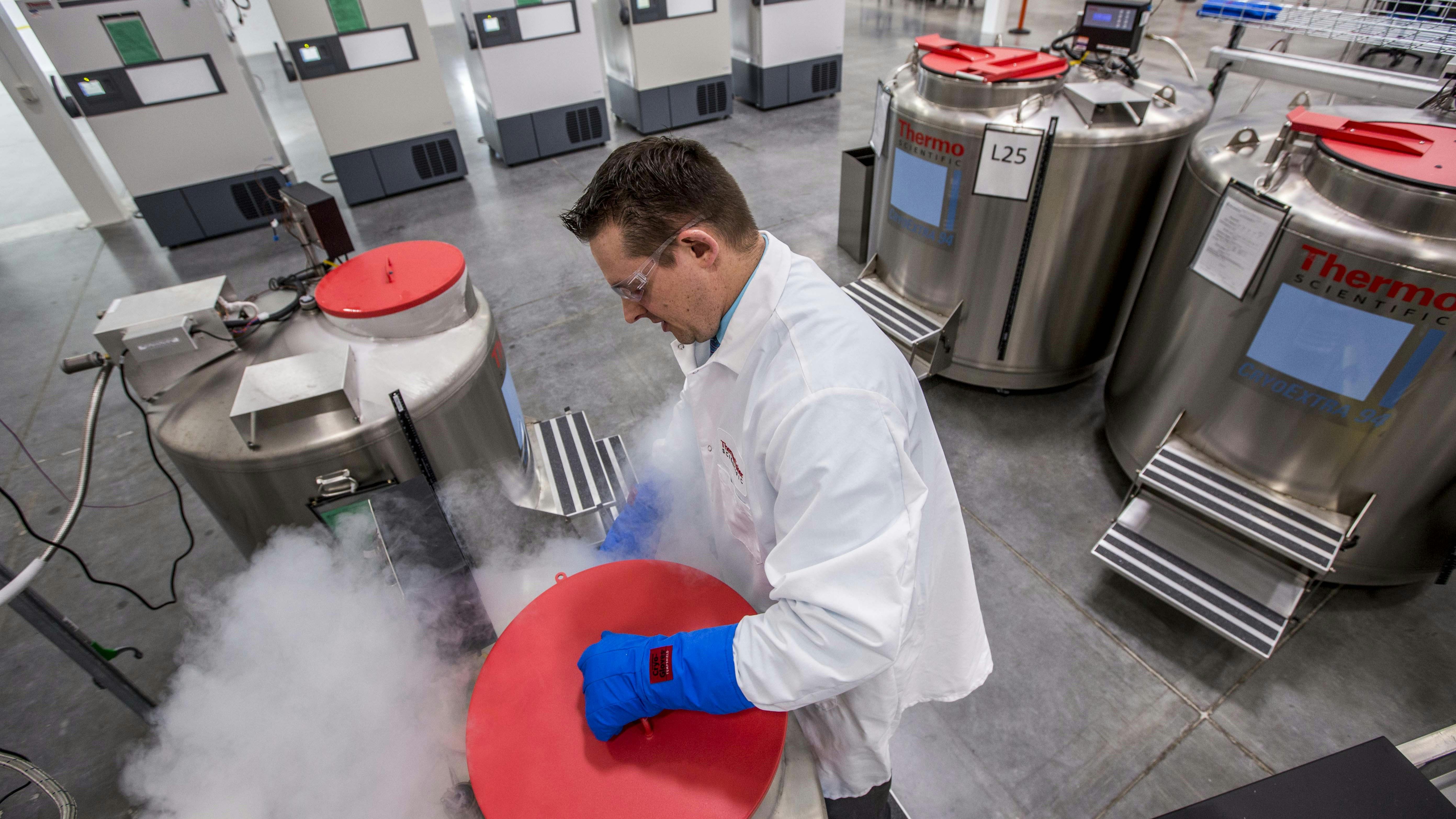 680a37f2333e0ccc3dd64c61 Thermofisher