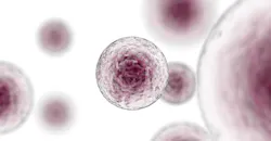 68b779126f6996d60403ba79 Pharma Manufacturingrethinkmabs White Paper 68b779126f6996d60403ba79 Pharma Manufacturingrethinkmabs White Paper