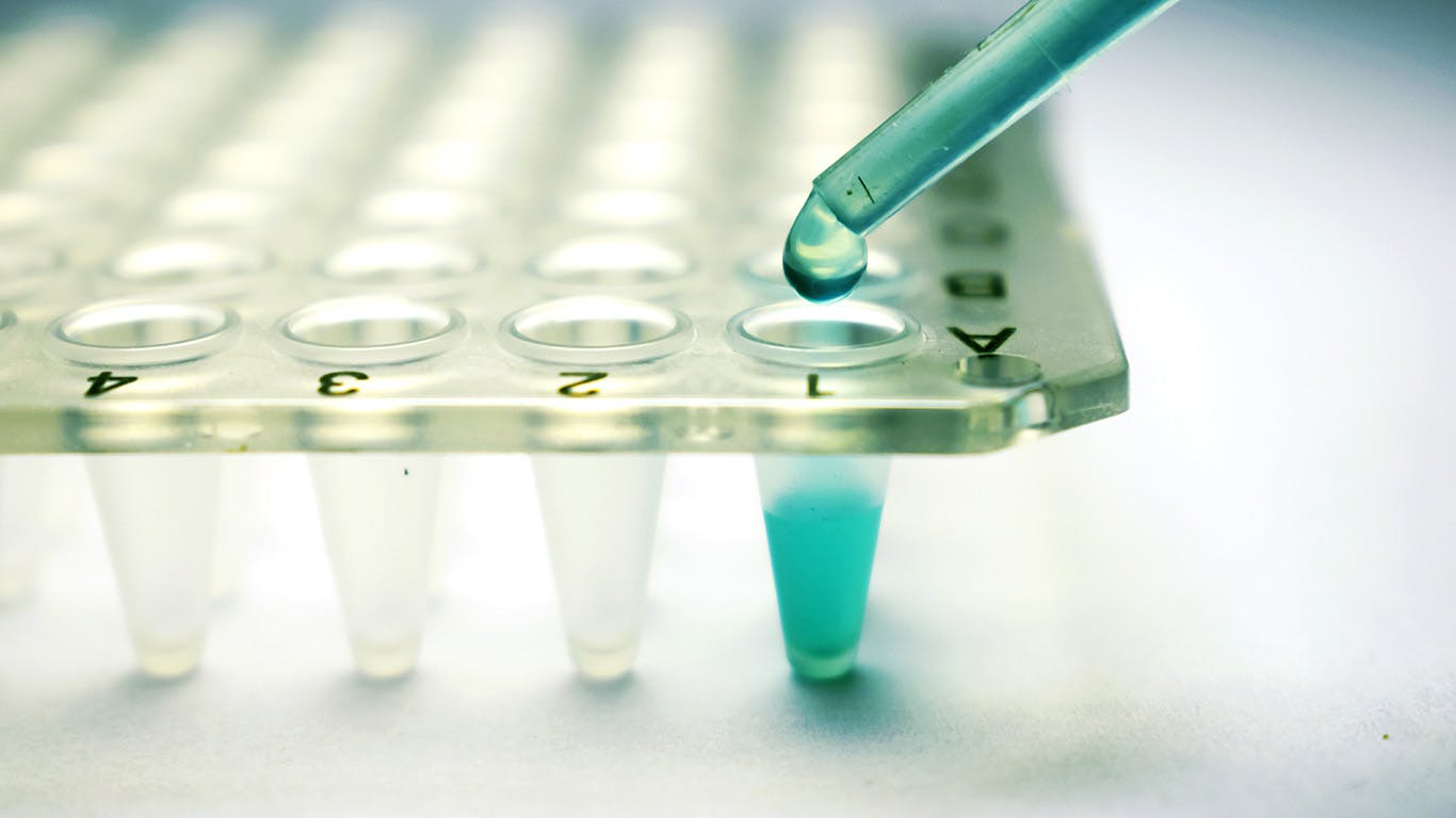 dreamstime_xxl_97154648