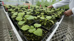 69151b640c5b397b2f04fcde 2171 Plantform 104 High Res 69151b640c5b397b2f04fcde 2171 Plantform 104 High Res