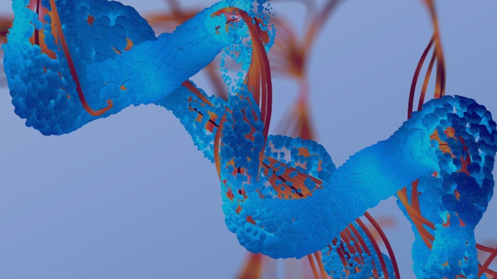 691d1292fbf9866aa84875f8 Bioduropeptides