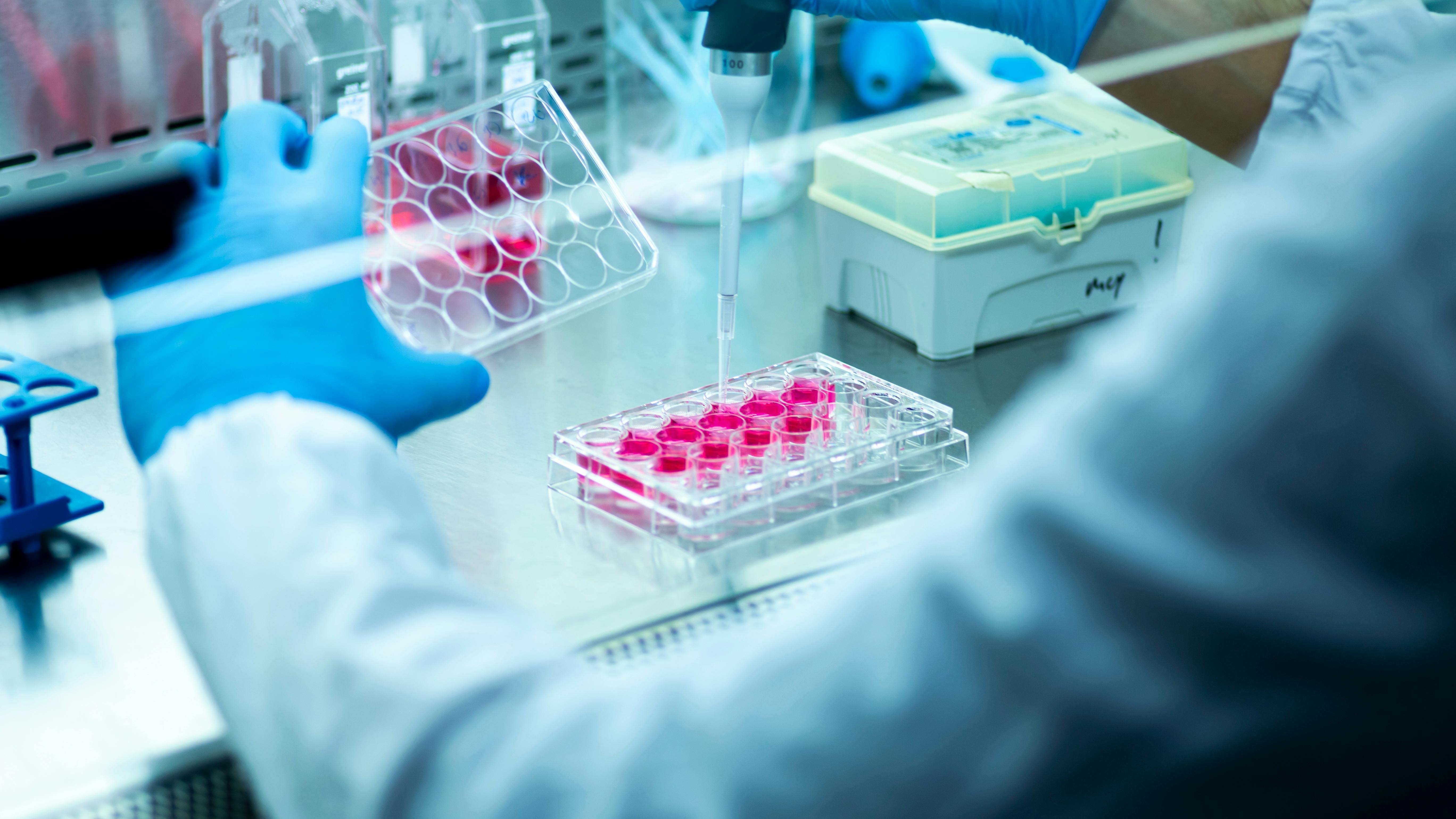 researcher in laboratory working with cell culture, cell culture at the medicine, medical and cell culture laboratory