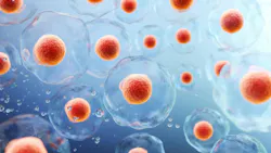 3d rendering of Human cell or Embryonic stem cell microscope background 3d rendering of Human cell or Embryonic stem cell microscope background