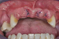 14apr10srrgardonmollardharmony03a 14apr10srrgardonmollardharmony03a