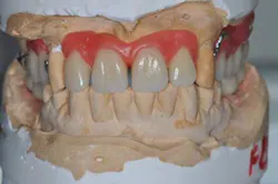 14apr10srrgardonmollardharmony07a 14apr10srrgardonmollardharmony07a