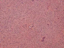 14feb27srrramerhpt Jt02 14feb27srrramerhpt Jt02