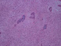 14feb27srrramerhpt Jt03 14feb27srrramerhpt Jt03