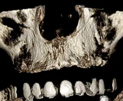 15jan8srrsicurelli02 15jan8srrsicurelli02