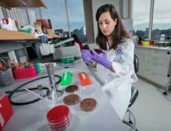 Bibchainpic1 Bibchainpic1