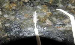 16feb18piaheilweil03a 16feb18piaheilweil03a