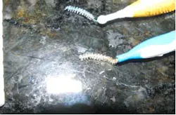 16feb18piaheilweil03d 16feb18piaheilweil03d