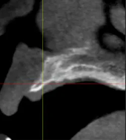 14oct23srrmannfroum02 14oct23srrmannfroum02