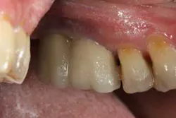 16apr21piafroum01a 16apr21piafroum01a