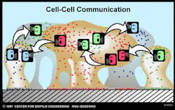 16jun16piakeller01 16jun16piakeller01