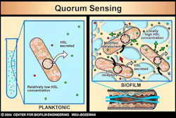 16jun16piakeller02 16jun16piakeller02