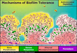 16jun16piakeller03 16jun16piakeller03