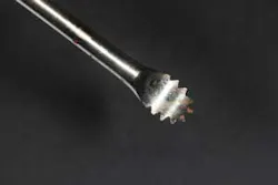 16may19piafroum04 16may19piafroum04