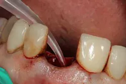 16may19piafroum05 16may19piafroum05