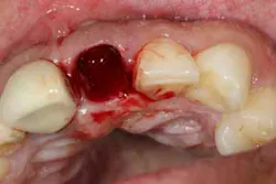 16may19piafroum07 16may19piafroum07