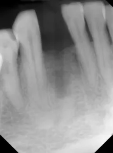 17sept14piamann P01 17sept14piamann P01