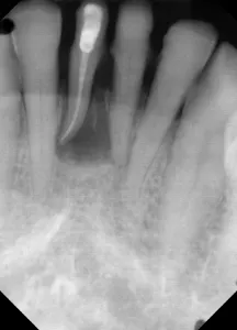 17sept14piamann P06 17sept14piamann P06