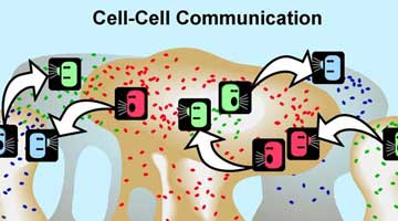 Content Dam Diq Online Articles 2016 06 16jun16piakellert