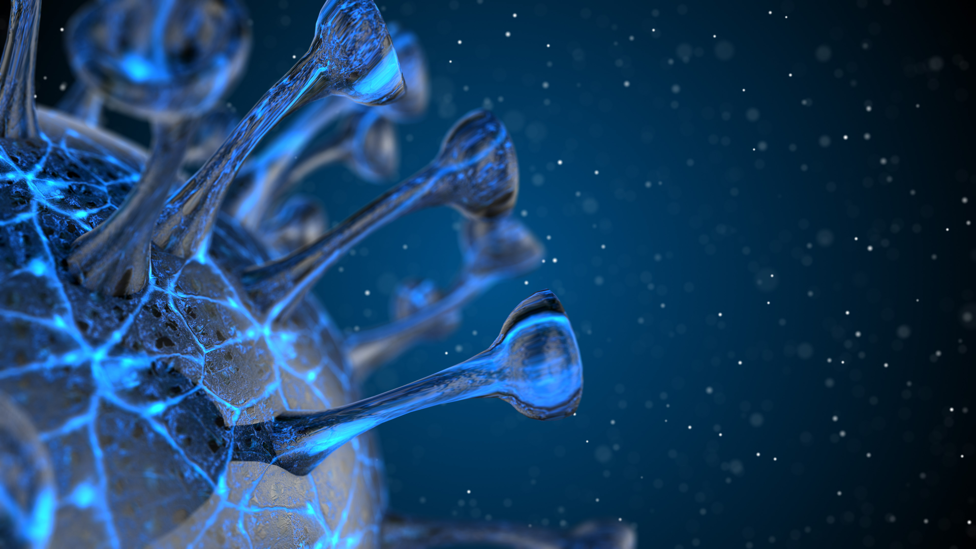 Copyright Mikiell Dreamstime Covid 19 5ebab0b838194