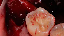 Primary 61a92af209527 Primary 61a92af209527