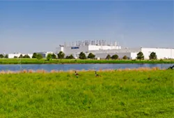 plant-profile1 plant-profile1