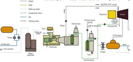 1660252199450 Two For One Fig 1