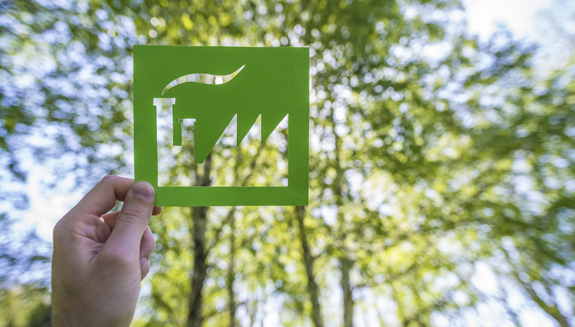 1660317526469 Greenplanttrees