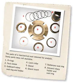 2010-seals2 2010-seals2