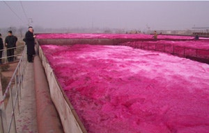 1660319559994 Blower1