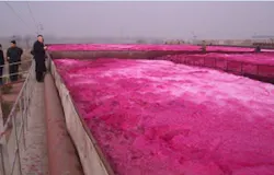 1660319559994 Blower1 1660319559994 Blower1