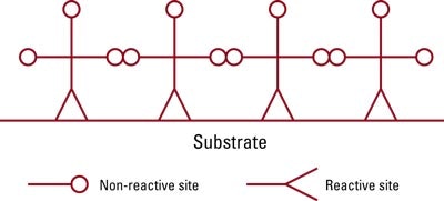 1660320006606 Zzzzz13