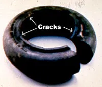 3-81%20crkd%20elast%20mem 3-81%20crkd%20elast%20mem