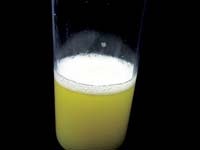 1660329805265 Ps0409 Lubes Fig 2